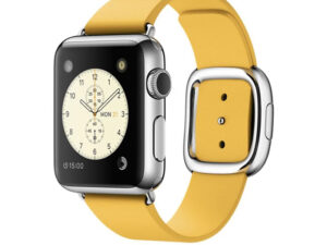 Modern Buckle Apple Watch